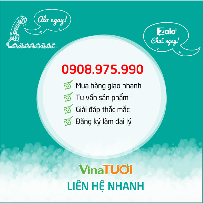 lien-he-vina-tuoi