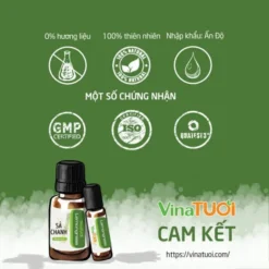 tinh-dau-sa-chanh-chai-10ml-1