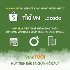 Tinh dầu sả chanh nguyên chất mua ở đâu?