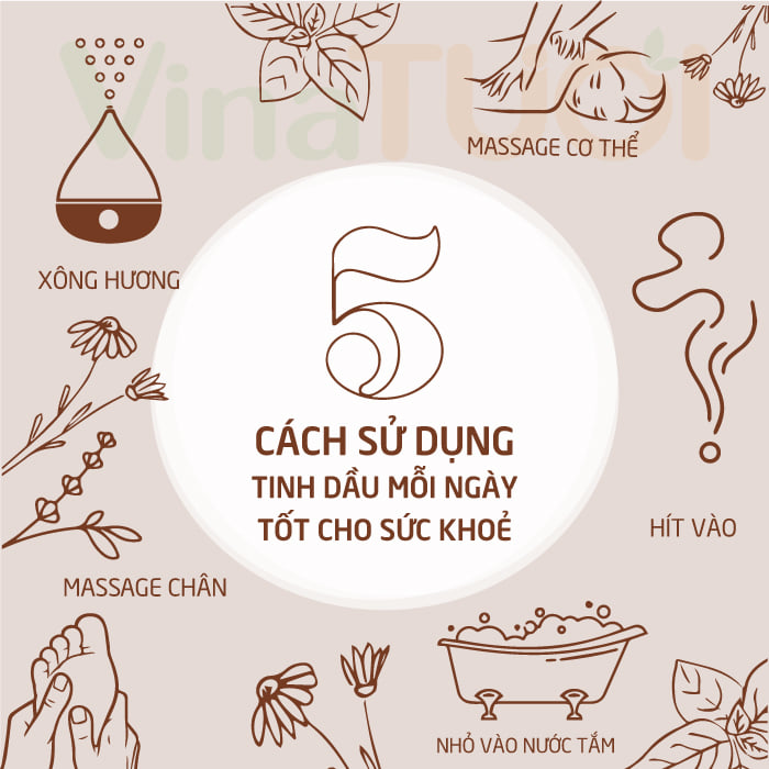 5-cong-dung-tinh-dau-moi-ngay