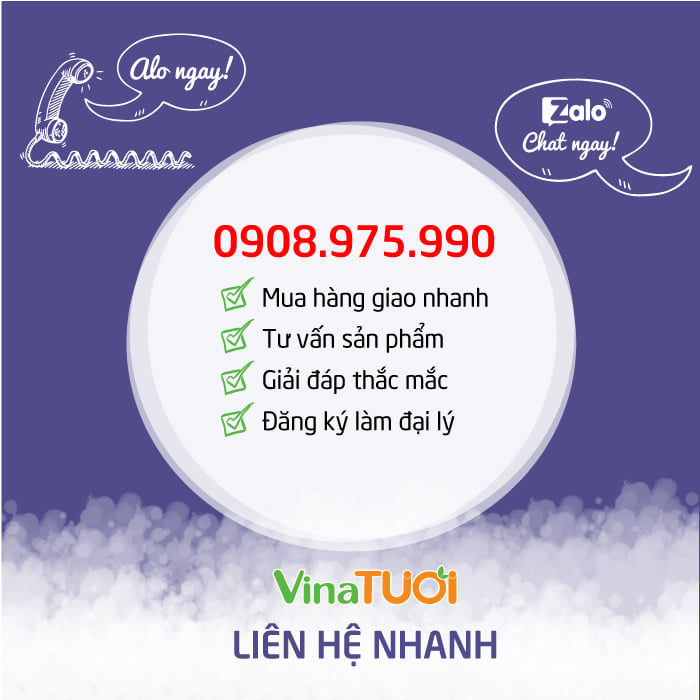 lien-he-vina-tuoi