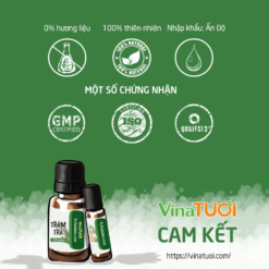 chứng nhận tinh dầu tràm trà