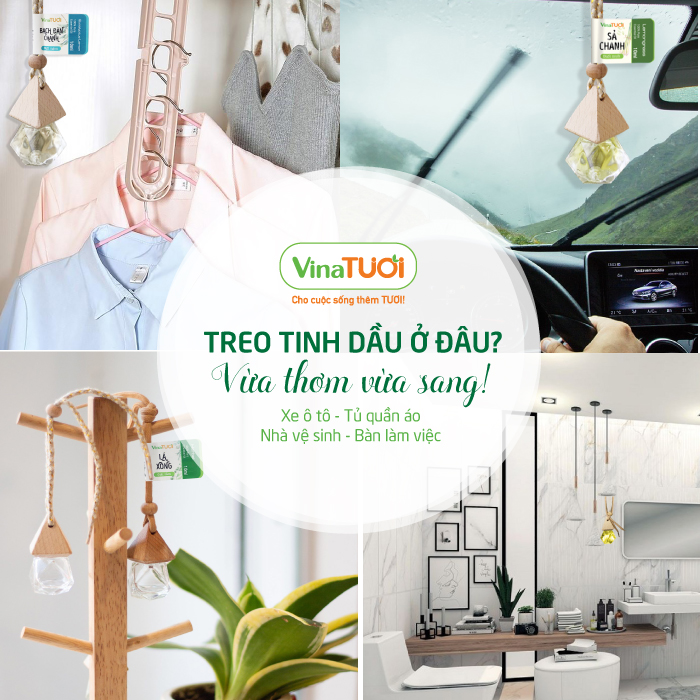 Tinh-dau-treo-o-dau