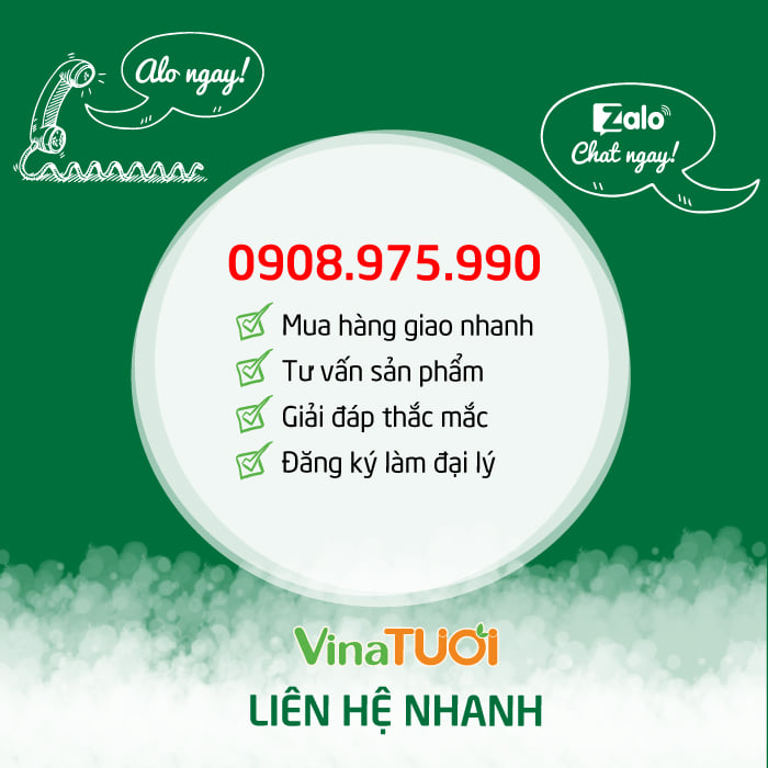 lien-he-vina-tuoi