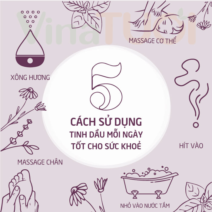 5-cong-dung-tinh-dau-moi-ngay