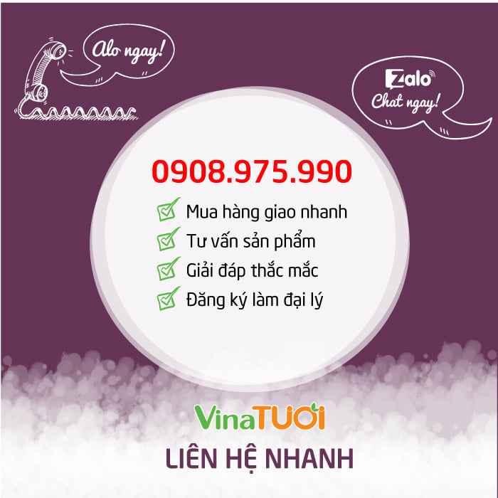 lien-he-vina-tuoi