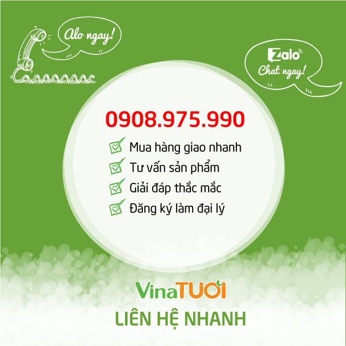 lien-he-vina-tuoi