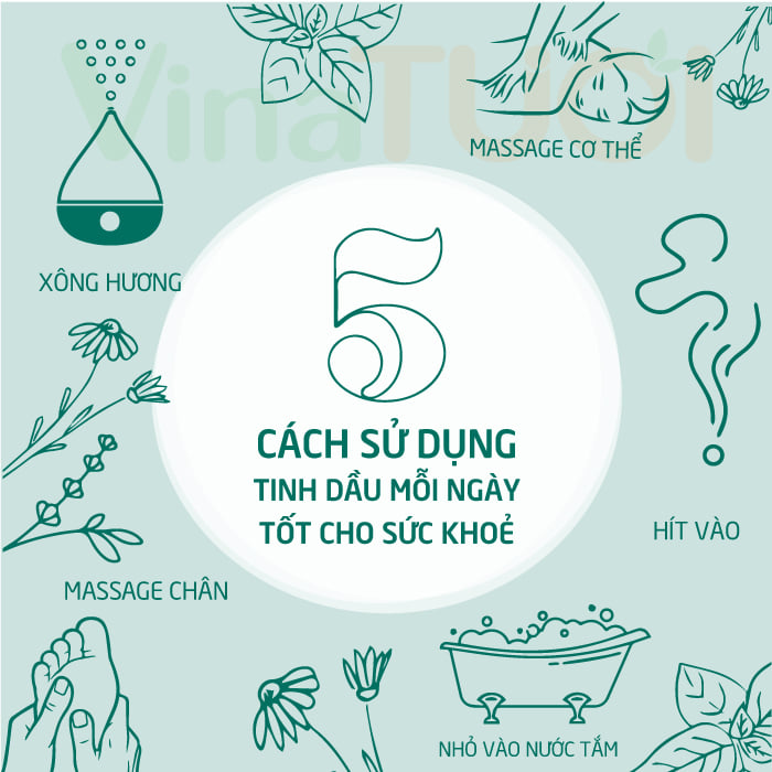 5-cong-dung-tinh-dau-moi-ngay