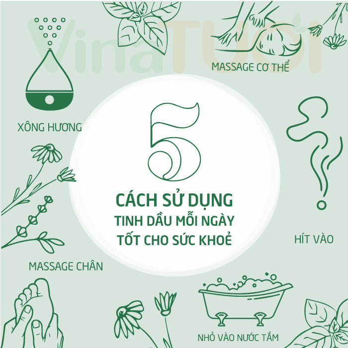 5-cong-dung-tinh-dau-moi-ngay