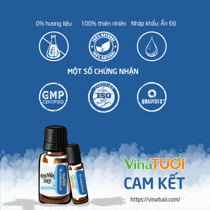 chung-nhan-tinh-dau-khuynh-diep