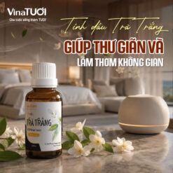 Công dụng của tinh dầu Trà Trắng giúp thư giãn và tạo không gian dễ chịu