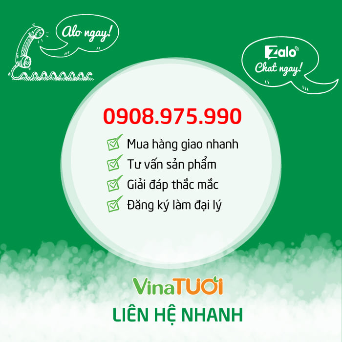 lien-he-vina-tuoi