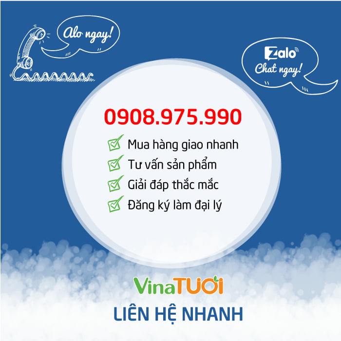 lien-he-vina-tuoi