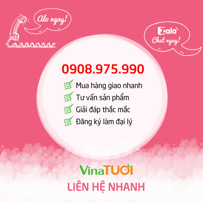 lien-he-vina-tuoi