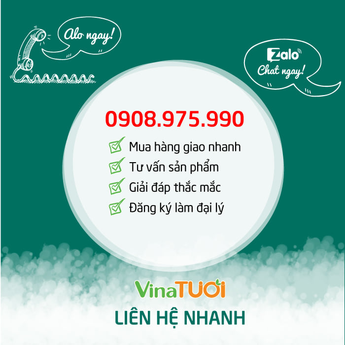 lien-he-vina-tuoi