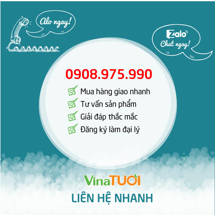 lien-he-vina-tuoi