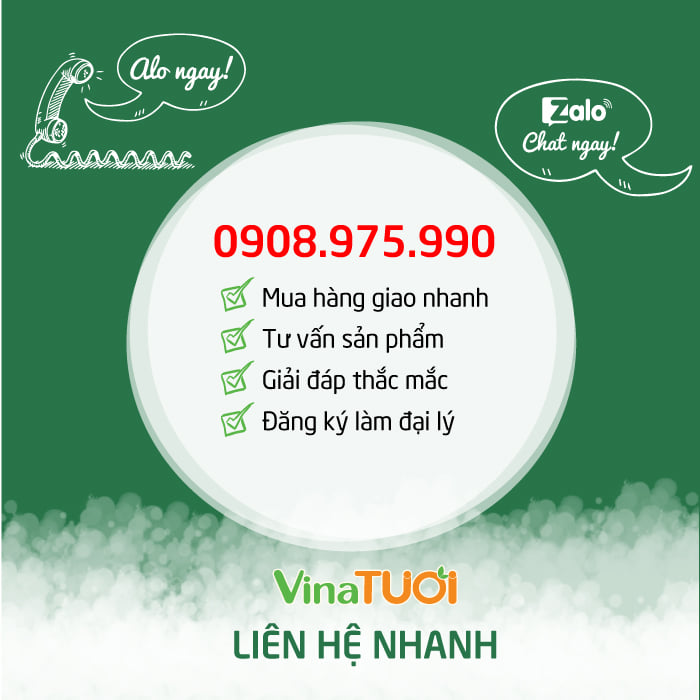 lien-he-vina-tuoi