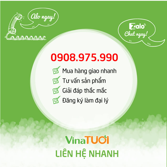 lien-he-vina-tuoi