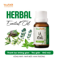 tinh dầu lá xông vina tươi xông nhà tiện lợi khử mùi thư giãn