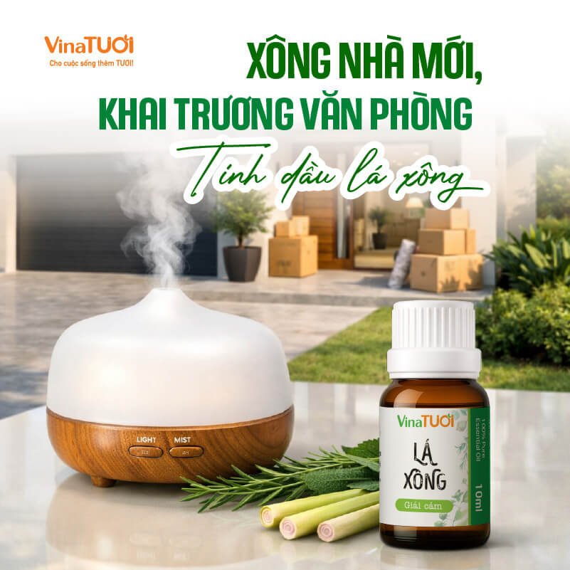 xong-nha-moi-bang-tinh-dau-la-xong xông nhà mới khai trương bằng tinh dầu lá xông vina tươi