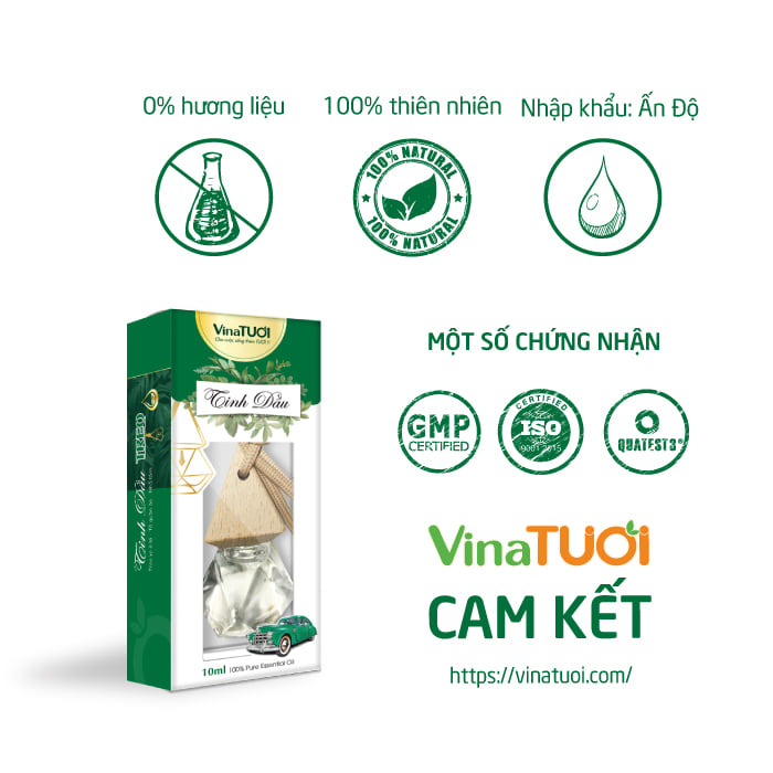 cam-ket-tinh-dau-treo-xe