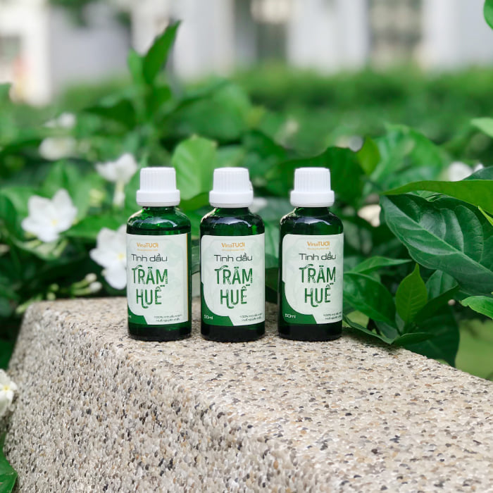 dau-tram-hue-vinatuoi-2
