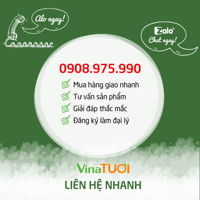 dau-tram-hue-vinatuoi-6