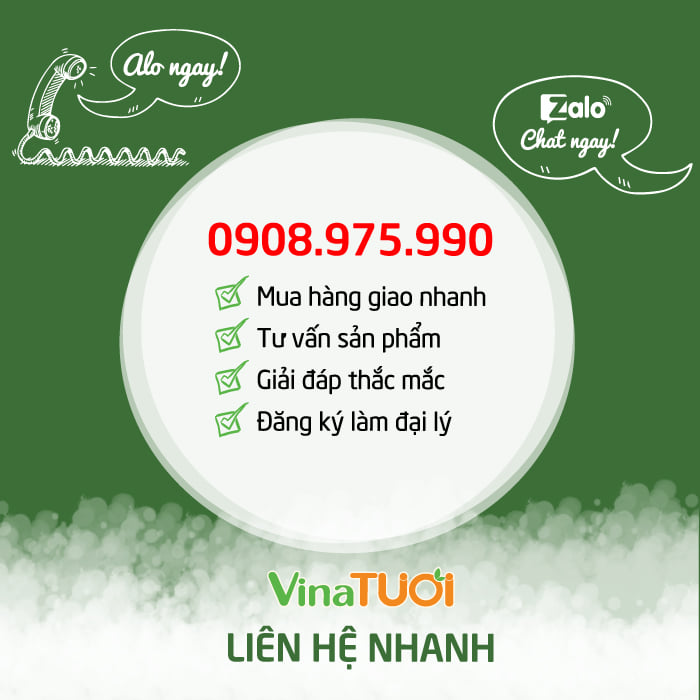 lien-he-dau-tram-Hue