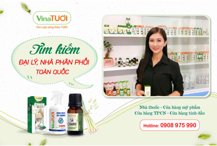 Mua sỉ tinh dầu sả chanh ở đâu chất lượng?