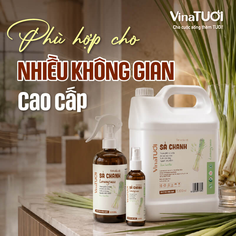 mui-sa-chanh-phu-hop-khong-gian-nao Mùi sả chanh phù hợp với nhiều không gian nhà hàng khách sạn