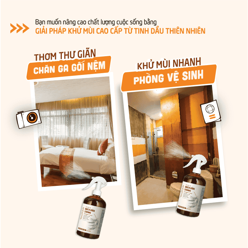 Công dụng Xịt khử mùi tinh dầu bạch đàn chanh Công dụng Xịt khử mùi tinh dầu bạch đàn chanh