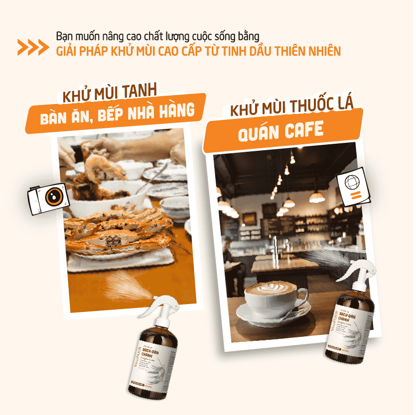 Công dụng Xịt khử mùi tinh dầu bạch đàn chanh Công dụng Xịt khử mùi tinh dầu bạch đàn chanh