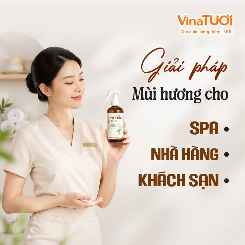 giai-phap-mui-huong-tra-trang-cho-nha-hang-khach-san-spa Giải pháp mùi hương trà trắng cho nhà hàng khách sạn spa cao cấp