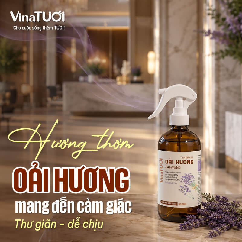 huong-oai-huong-mang-den-cam-giac-thu-gian Mùi oải hương tạo cảm giác thư giãn cho không gian dịch vụ