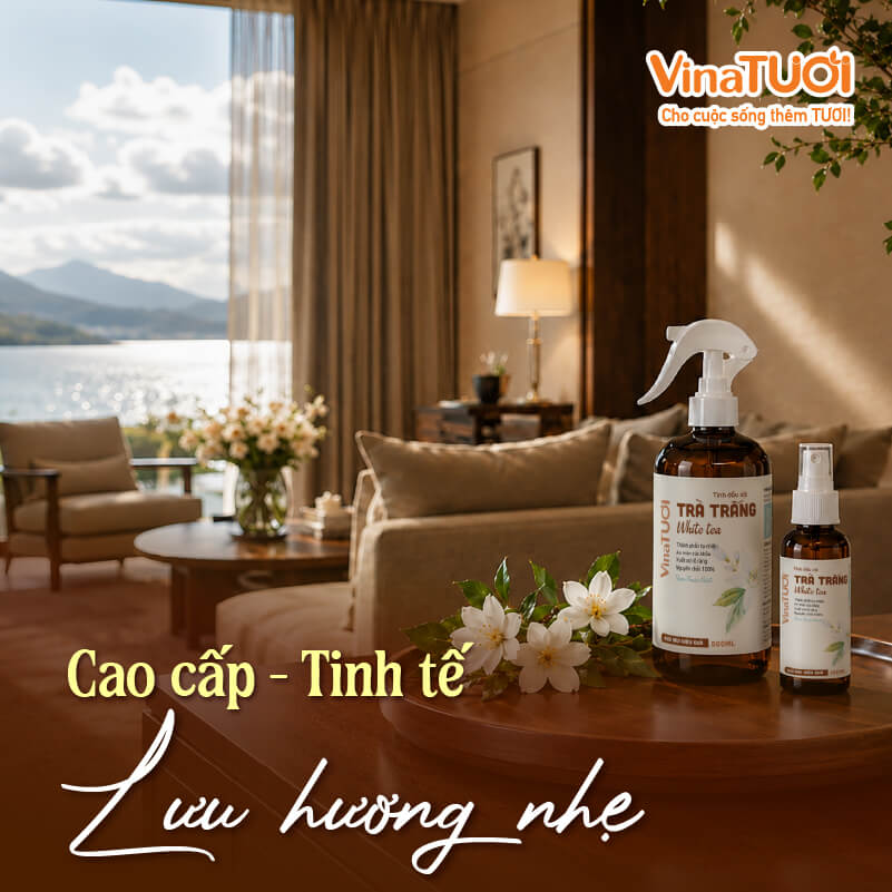 xit-phong-tinh-dau-tra-trang-cao-cap-tinh-te-luu-huong-nhe Xịt phòng tinh dầu trà trắng cao cấp tinh tế lưu hương nhẹ