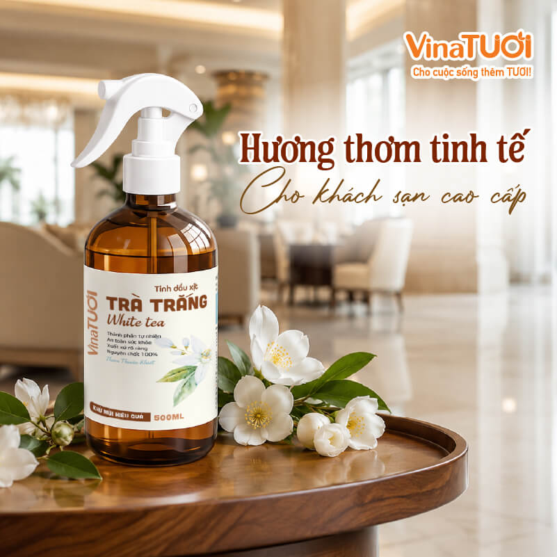 xit-phong-tinh-dau-tra-trang-huong-thom-tinh-te-cho-khach-san-cao-cap Xịt phòng tinh dầu trà trắng hương thơm tinh tế cho khách sạn cao cấp