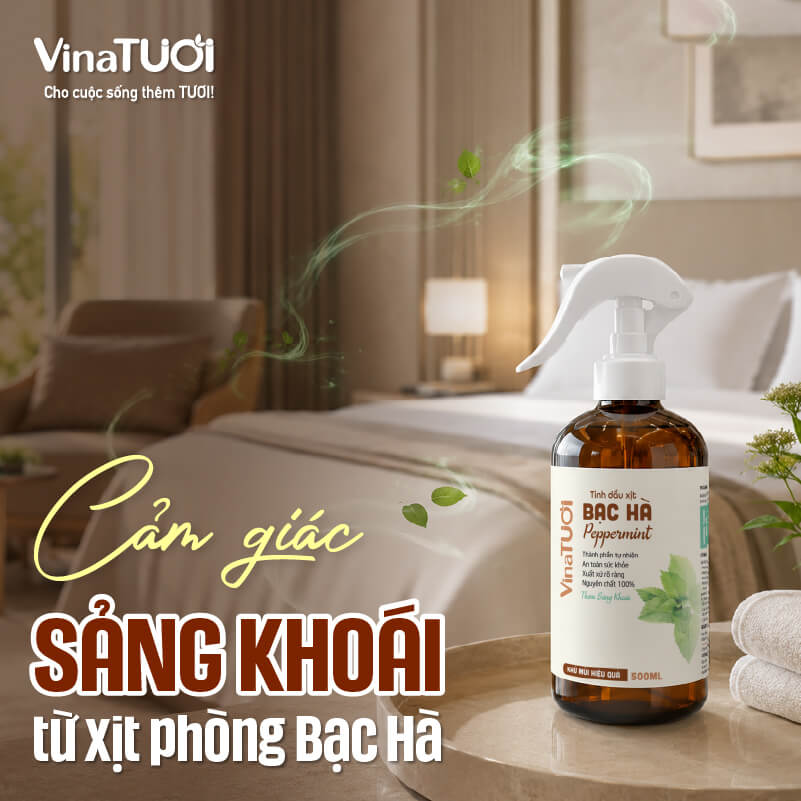 cam-giac-sang-khoai-tu-xit-phong-bac-ha Xịt phòng bạc hà mang lại cảm giác sảng khoái cho không gian nhà hàng khách sạn