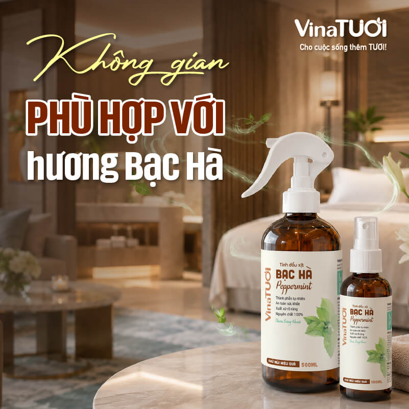 khong-gian-phu-hop-voi-huong-bac-ha Không gian phù hợp sử dụng hương bạc hà trong nhà hàng khách sạn