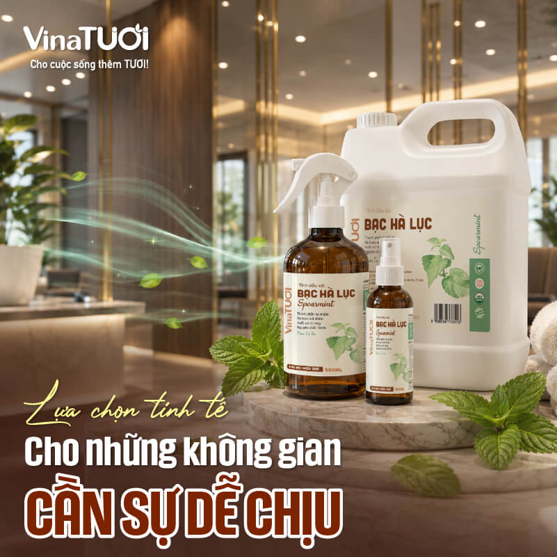 lua-chon-tinh-te-cho-khong-gian-de-chiu Mùi bạc hà lục là lựa chọn tinh tế cho không gian dịch vụ hiện đại