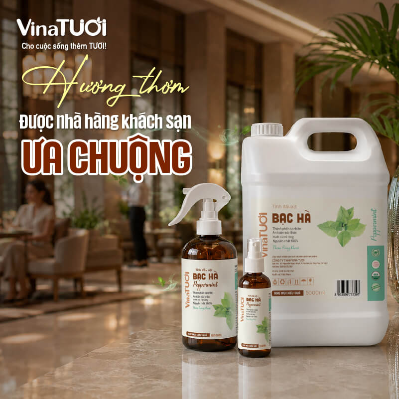 ly-do-nhieu-nha-hang-khach-san-ua-chuong-mui-bac-ha Nhiều nhà hàng khách sạn lựa chọn hương bạc hà tạo cảm giác sạch sẽ dễ chịu
