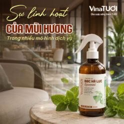 Mùi bạc hà lục phù hợp với nhiều không gian dịch vụ khác nhau