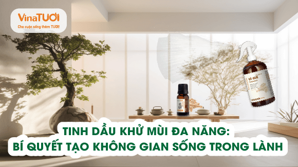 Tinh dầu khử mùi đa năng: Bí quyết tạo không gian sống trong lành