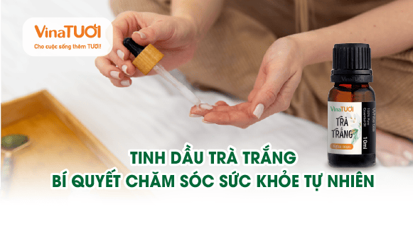 Tinh dầu trà trắng: bí quyết chăm sóc sức khỏe tự nhiên