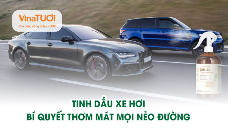 Tinh dầu xe hơi