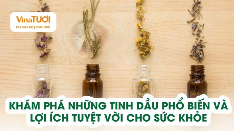 Khám phá các loại tinh dầu phổ biến và lợi ích tuyệt vời cho sức khỏe