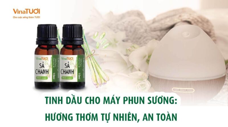 Tinh Dầu Cho Máy Phun Sương: Hương Thơm Tự Nhiên, An Toàn