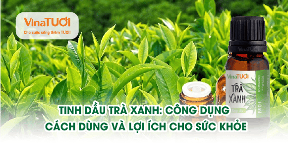 Tinh dầu trà xanh: công dụng, cách dùng và lợi ích cho sức khỏe
