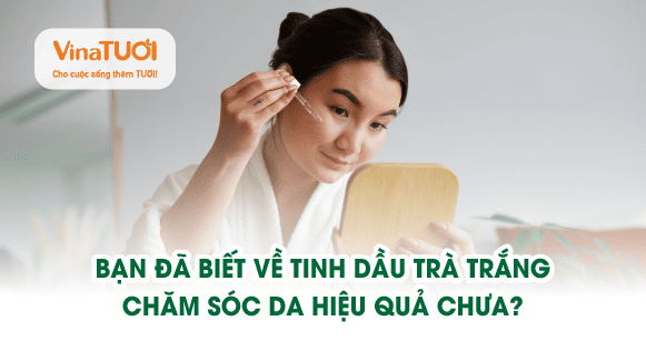 Bạn đã biết về tinh dầu trà trắng chăm sóc da hiệu quả chưa?