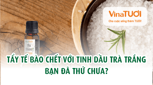 Tẩy tế bào chết với tinh dầu trà trắng bạn đã thử chưa?