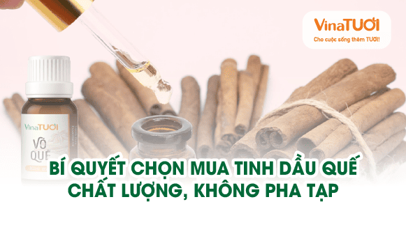 Bí quyết chọn mua tinh dầu quế chất lượng, không pha tạp